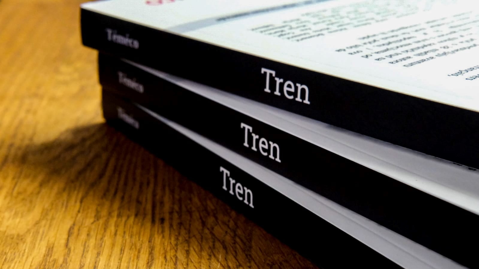Двојезична збирка „Трен“ објављена и у папирном издањуbla